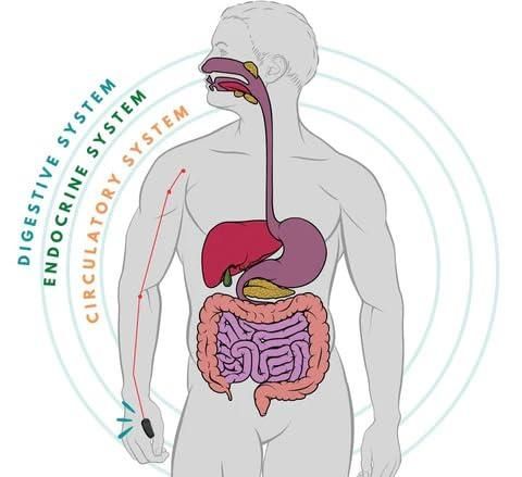 Acuplus+ Sugar Control Clip - Buy 1 Get 2 Offer Today Only